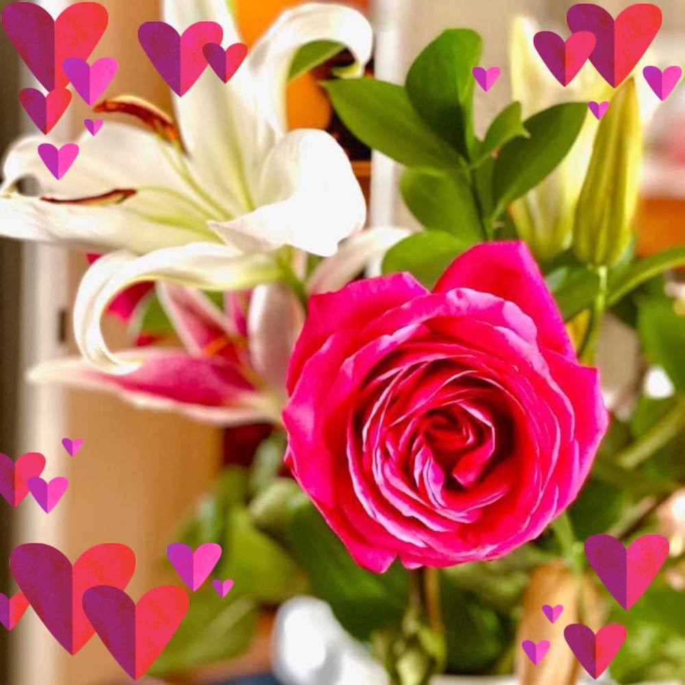 Meet your Posher, Lois